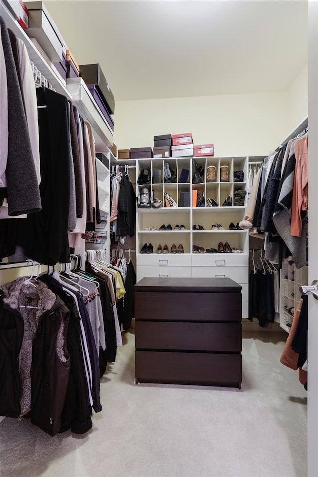 walk in closet with light colored carpet