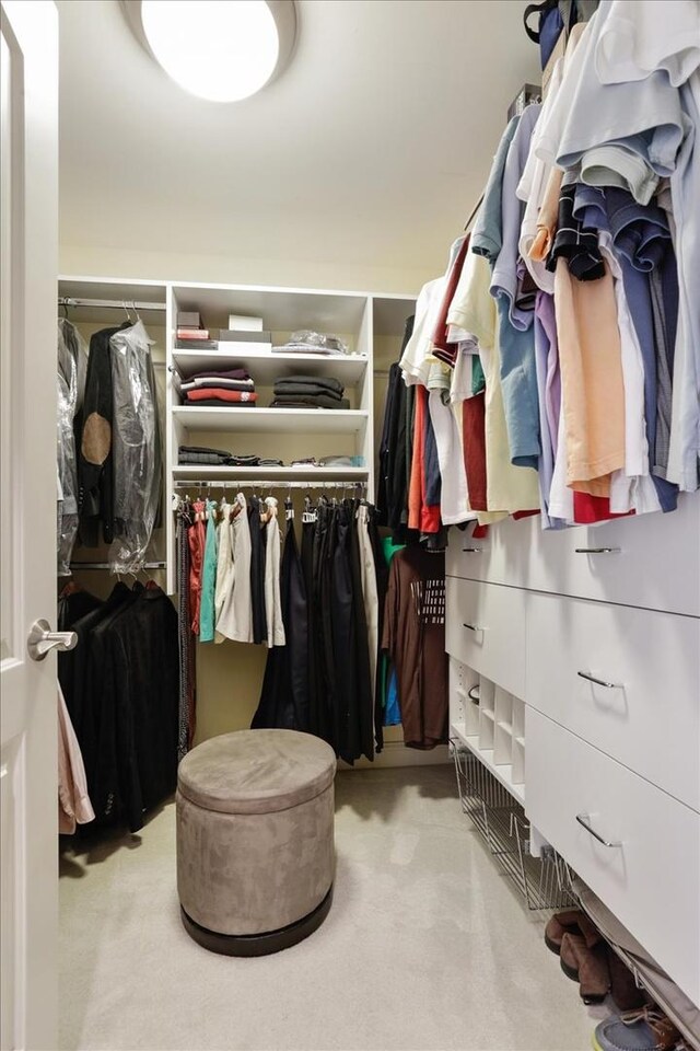 walk in closet featuring light carpet