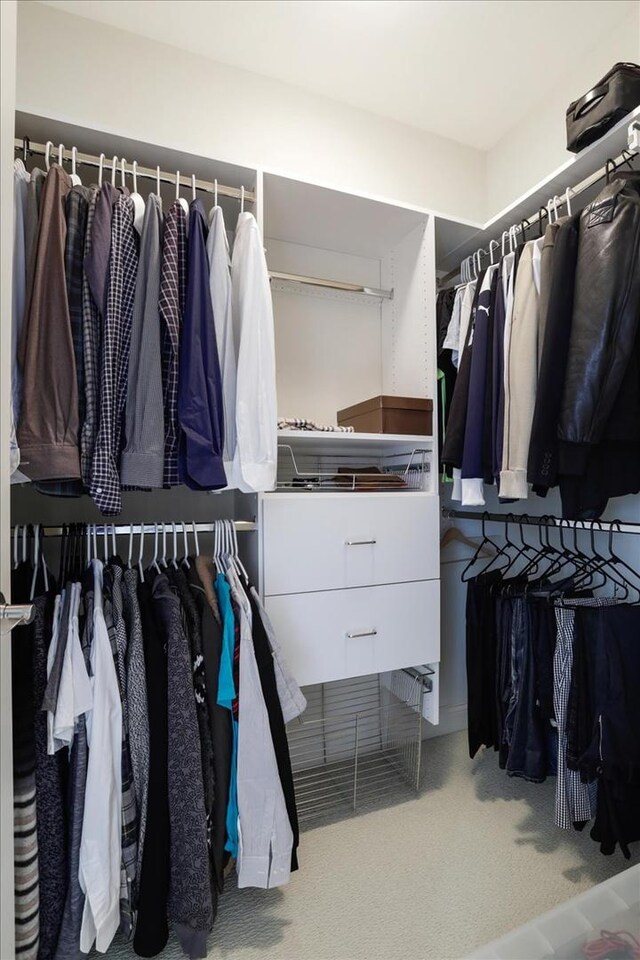 spacious closet with carpet floors