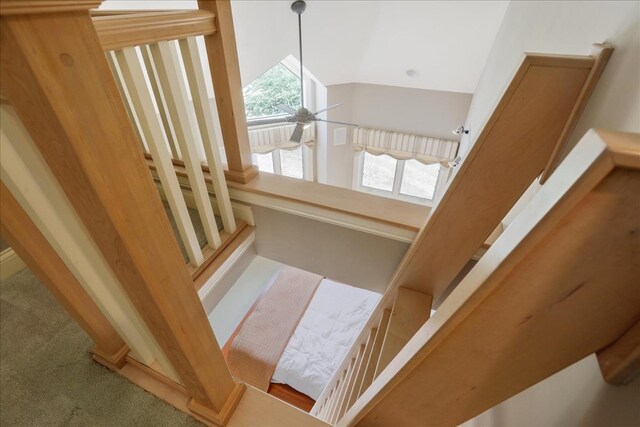 stairs featuring carpet flooring and high vaulted ceiling