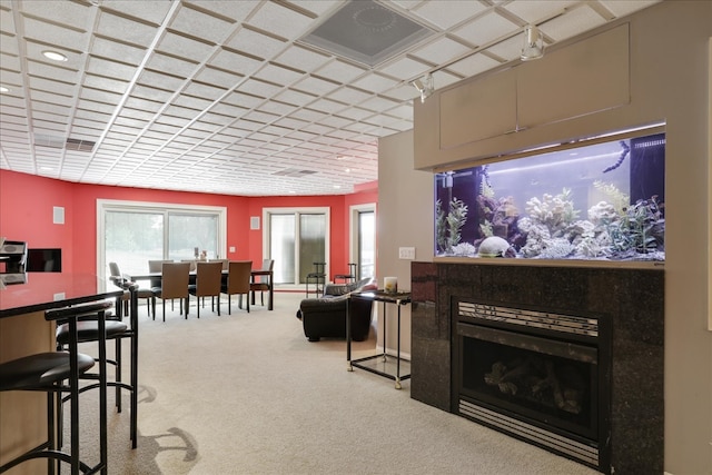 living room featuring rail lighting and carpet flooring