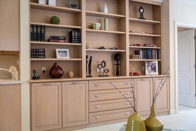 room details featuring carpet flooring, built in shelves, and sink