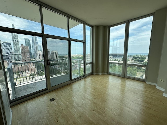 unfurnished room featuring a wealth of natural light, wood-type flooring, and expansive windows