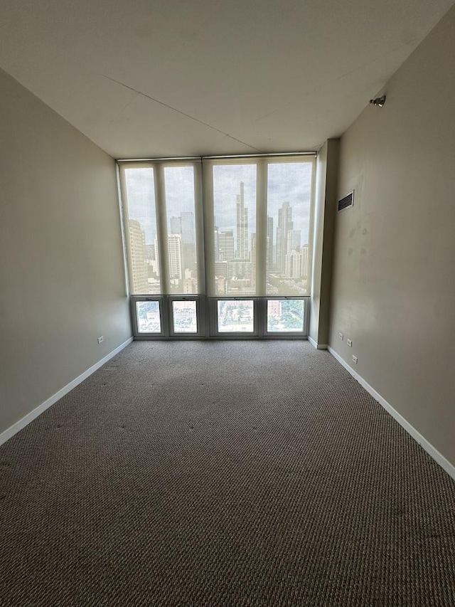 spare room with a wall of windows and carpet floors