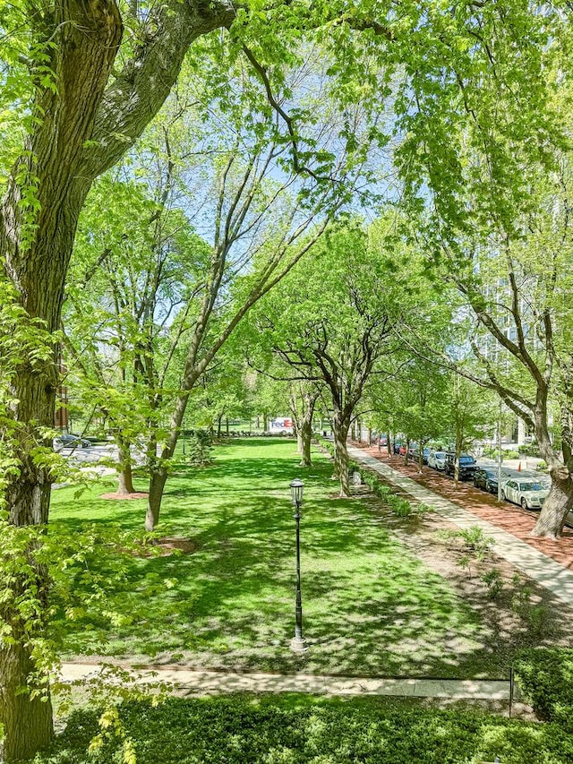 view of property's community with a yard