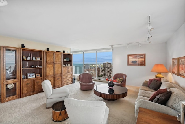 living area featuring rail lighting, a view of city, and light colored carpet