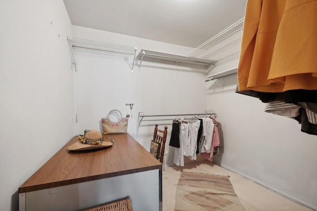 spacious closet featuring light colored carpet