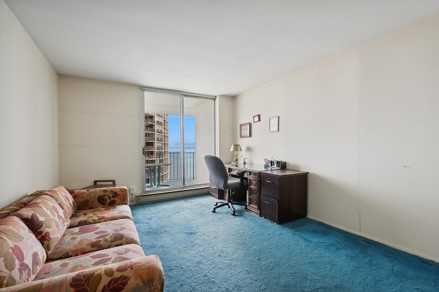 office space with carpet floors, a baseboard radiator, and floor to ceiling windows