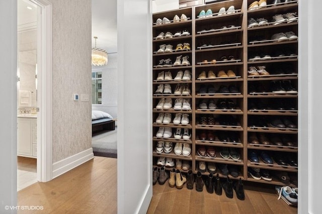 wine room with wood-type flooring