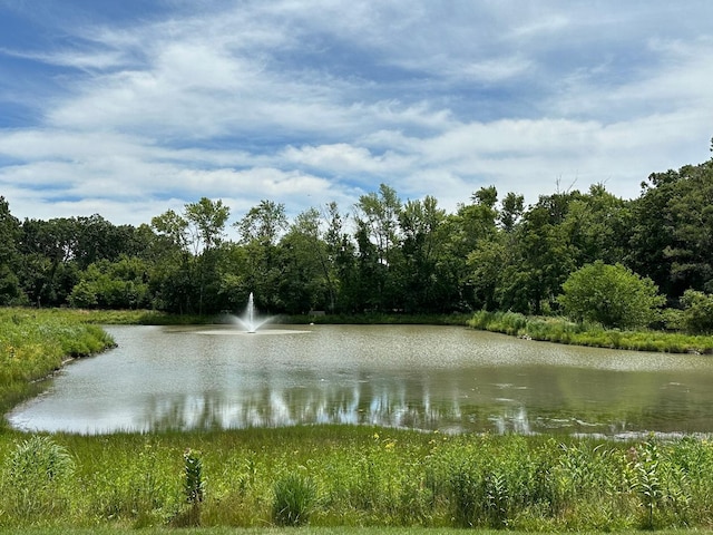 view of water feature