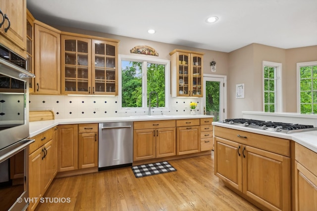 kitchen featuring decorative backsplash, stainless steel appliances, a wealth of natural light, and light hardwood / wood-style floors