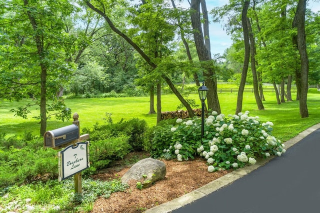 view of property's community featuring a lawn