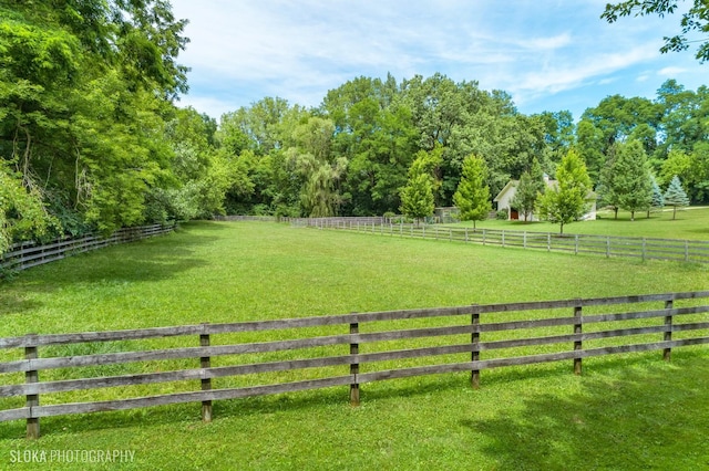 view of yard featuring a rural view