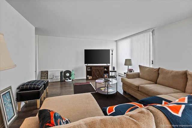 living room featuring a baseboard radiator and dark hardwood / wood-style floors