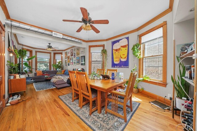 dining room with ceiling fan, light hardwood / wood-style flooring, and ornamental molding