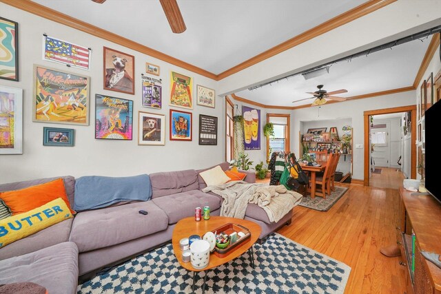 living room with light wood-type flooring, ornamental molding, and ceiling fan