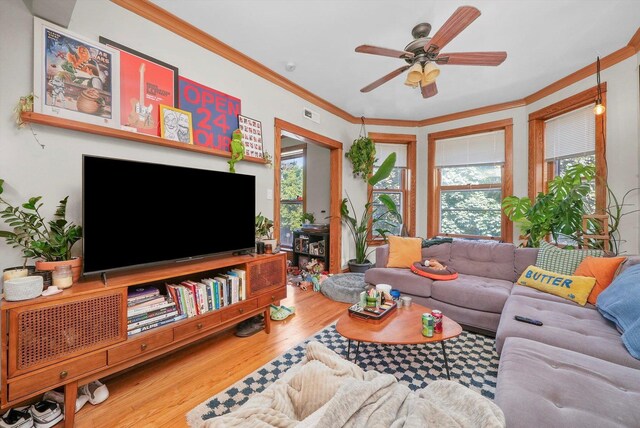 living room with ceiling fan, a wealth of natural light, ornamental molding, and light hardwood / wood-style floors