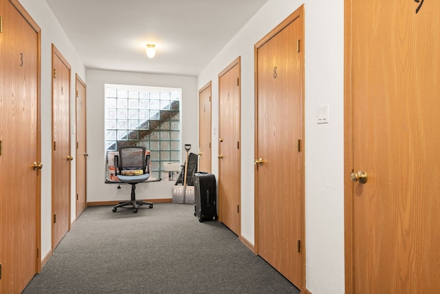 hallway with carpet