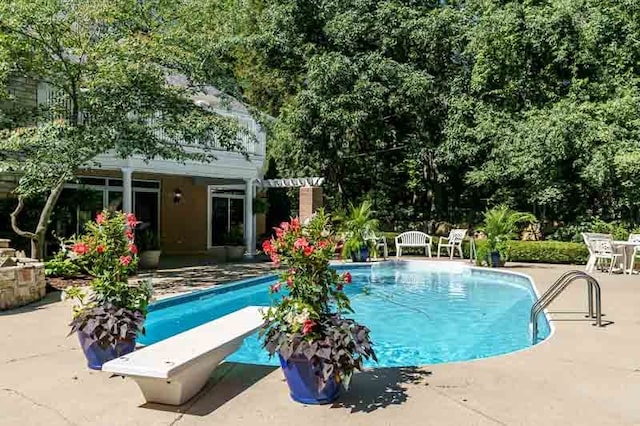 view of pool with a patio and a diving board