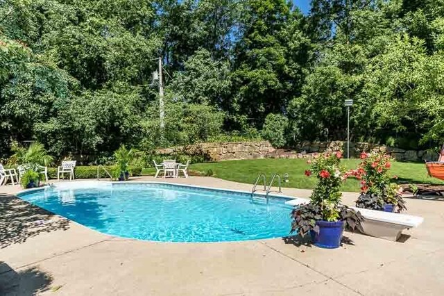 view of pool with a diving board and a patio