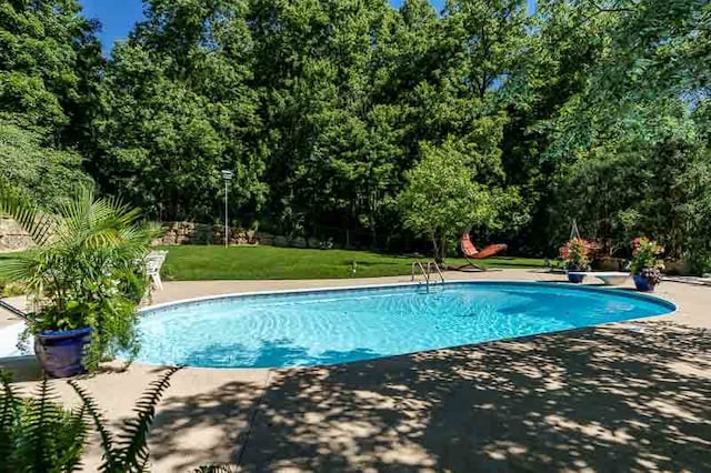 view of pool featuring a patio area