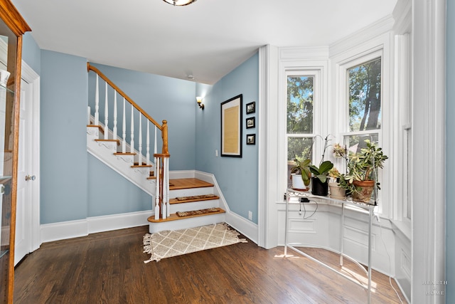 foyer featuring dark wood-type flooring