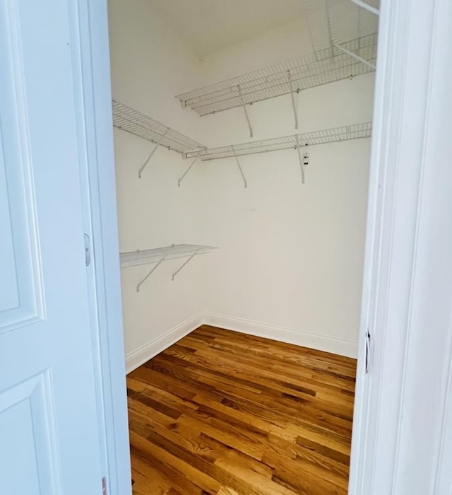 walk in closet featuring wood-type flooring