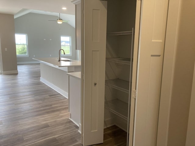 pantry with sink