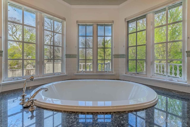 bathroom featuring a wealth of natural light and ornamental molding