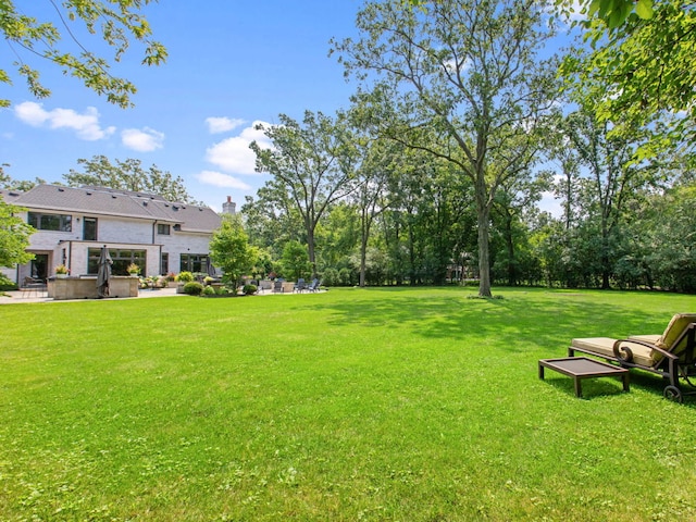 view of yard with a patio area