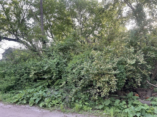10401 Kenilworth Ave, Algonquin, IL 60102 - photo 1
