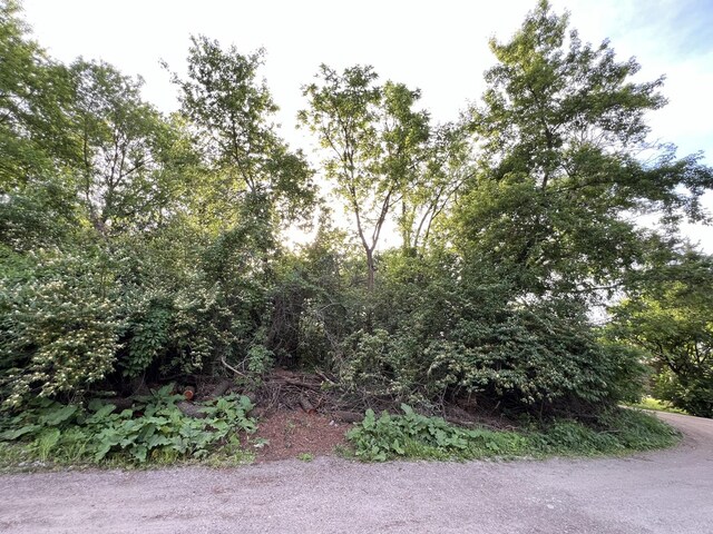 10401 Kenilworth Ave, Algonquin, IL 60102 - photo 9
