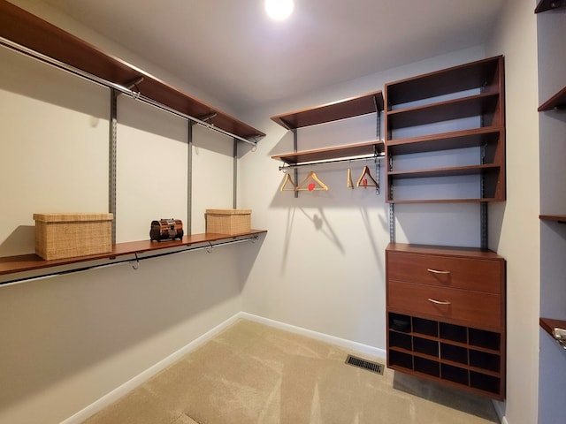 walk in closet with light colored carpet