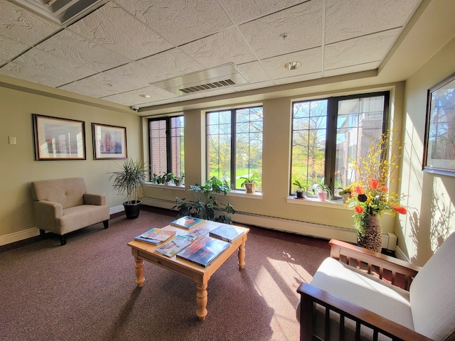 sunroom with a baseboard radiator