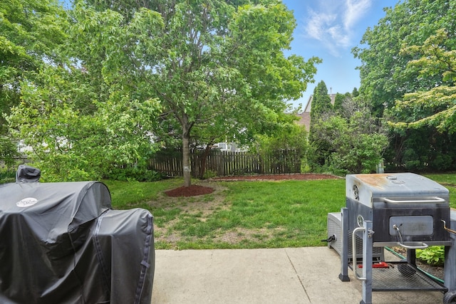 1406 Trescott St, Mundelein, IL 60060 - view of yard with a patio area