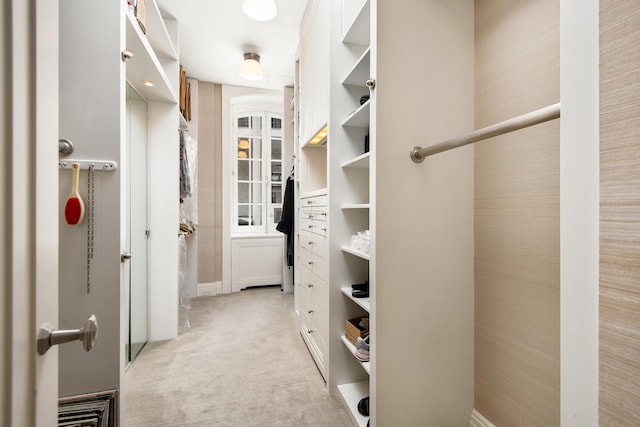 walk in closet featuring light carpet