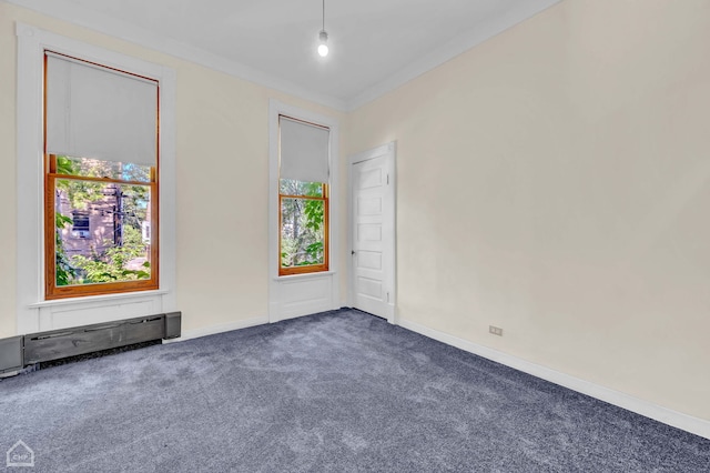 carpeted spare room featuring ornamental molding