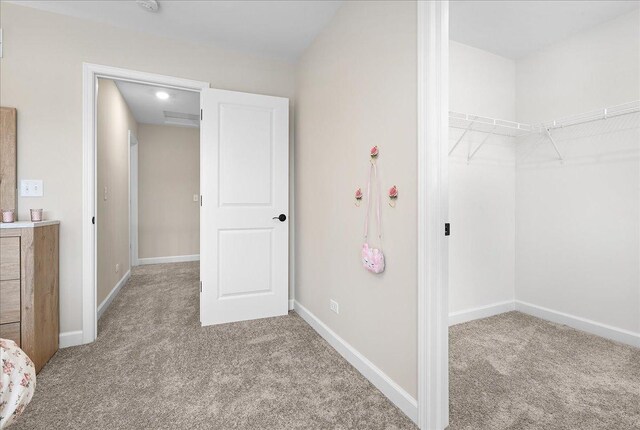 walk in closet featuring carpet