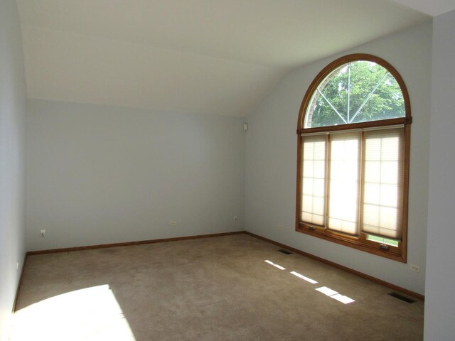 interior space featuring carpet and lofted ceiling