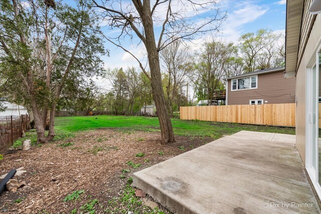 view of yard with a patio area