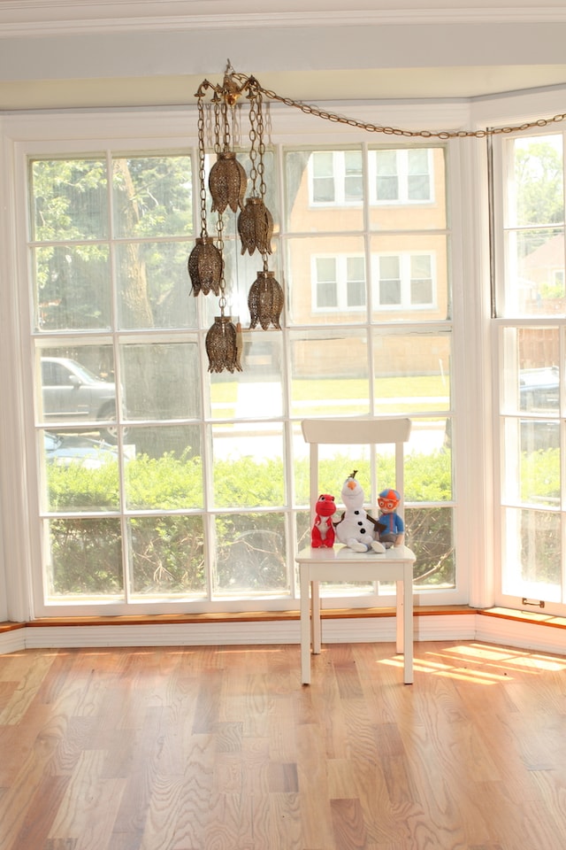 interior space with crown molding and hardwood / wood-style floors