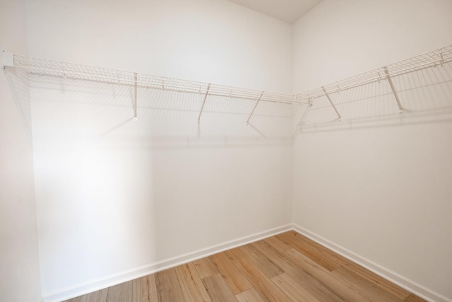 walk in closet featuring wood finished floors