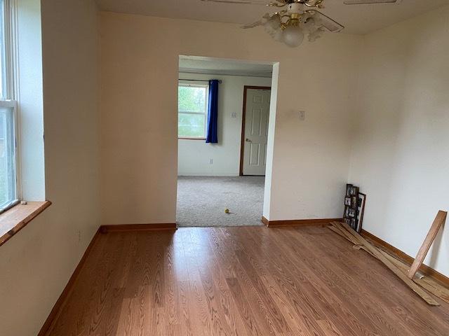 empty room featuring ceiling fan and wood-type flooring