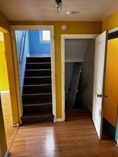 stairway with wood-type flooring