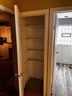 view of pantry