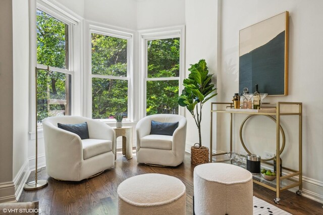 living area with hardwood / wood-style floors and plenty of natural light