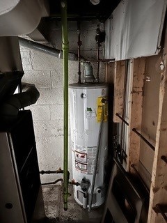 utility room with gas water heater