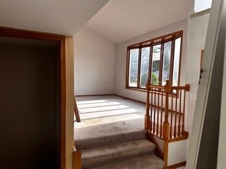 staircase featuring carpet floors and vaulted ceiling