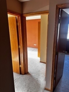 hallway with carpet flooring