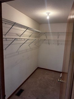 spacious closet with carpet floors